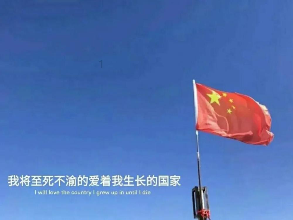 划龙舟吃粽子